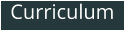 Curriculum