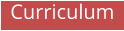 Curriculum